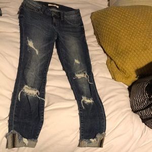 Willow + Root Ankle 25